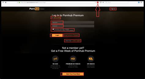 pornhub content creator account|How to Sign Up and Join the Model Program – Pornhub Help